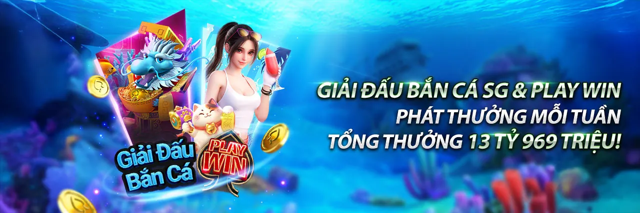 Biểu tượng giấy phép hoạt động hợp pháp